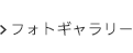 フォトギャラリー